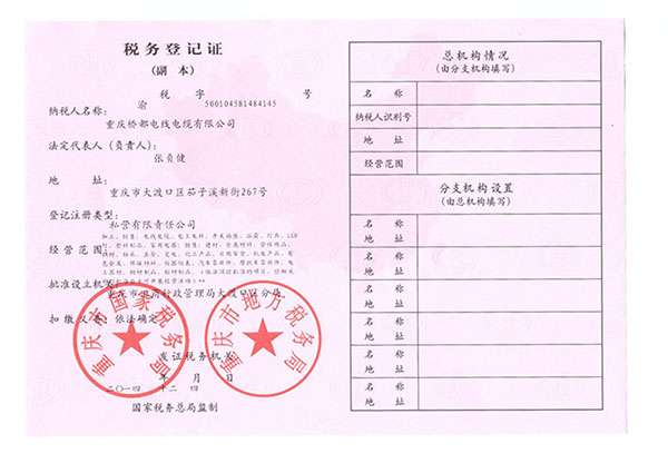 稅務(wù)登記副本